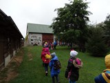 glina2014 (43)