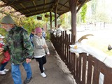 glina2014 (61)