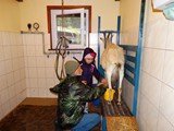 glina2014 (76)