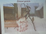 lesniczy_13 (11)